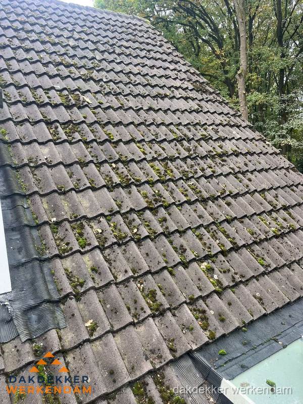 Verweerd pannendak met mosgroei dat renovatie nodig heeft in Werkendam