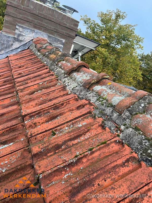 Verweerd hellend dak met mosgroei op nokvorst in Werkendam Verweerd hellend dak met mosgroei op nokvorst in Werkendam