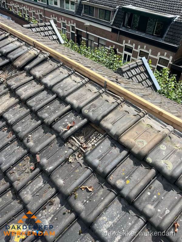 Dakonderhoud aan schuin pannendak met nokvernieuwing in Werkendam