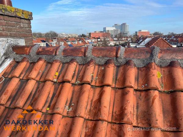 Pannendak met nokvorst en schoorsteen, dakrenovatie in Werkendam Pannendak met nokvorst en schoorsteen, dakrenovatie in Werkendam
