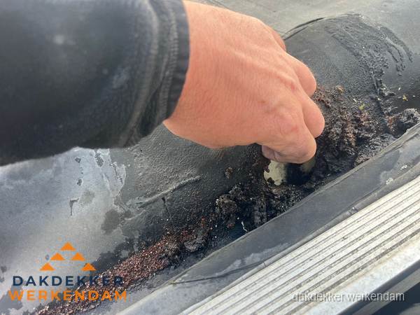 Schade aan bitumen dakbedekking op plat dak in Werkendam Schade aan bitumen dakbedekking op plat dak in Werkendam