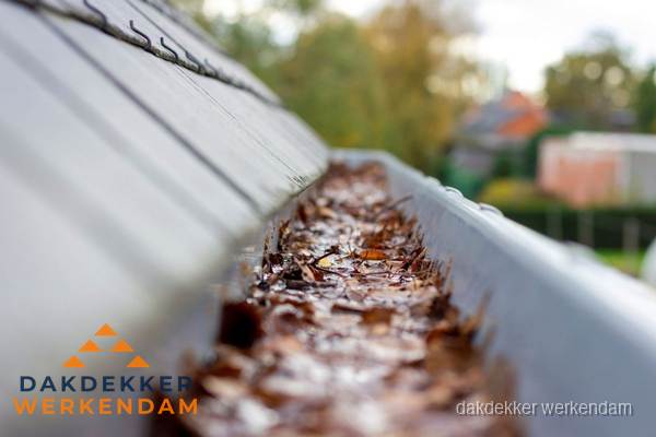 Verstopte dakgoot met bladeren schoonmaken in Werkendam Verstopte dakgoot met bladeren schoonmaken in Werkendam
