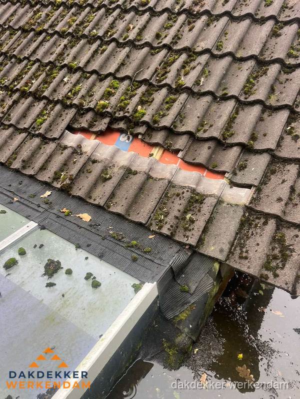 Beschadigd pannendak met ontbrekende dakpannen voor reparatie in Werkendam Beschadigd pannendak met ontbrekende dakpannen voor reparatie in Werkendam