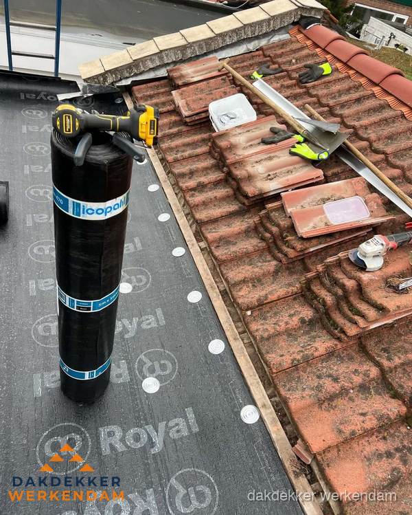 Dakschade herstel: pannendak renovatie in Werkendam Dakschade herstel: pannendak renovatie in Werkendam